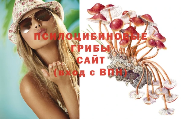 mdpv Беломорск
