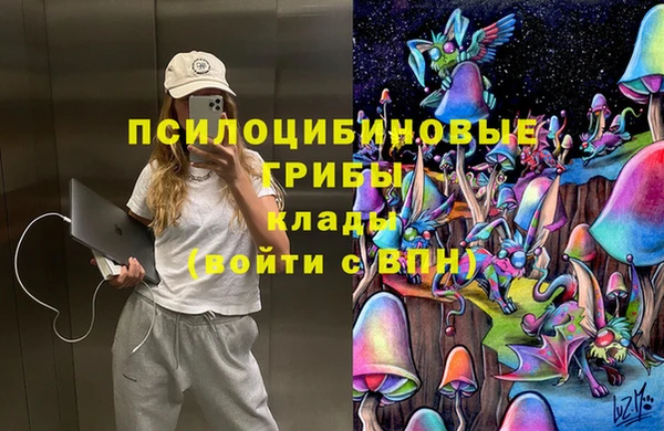 mdpv Беломорск