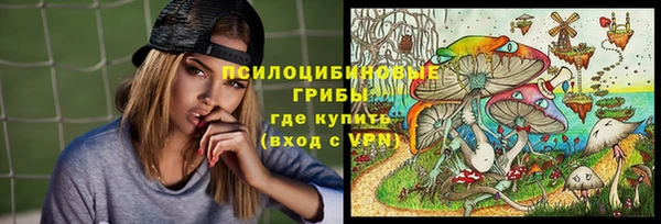 PSILOCYBIN Баксан