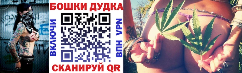 купить наркотики сайты  Харовск  Бошки Шишки Bruce Banner 